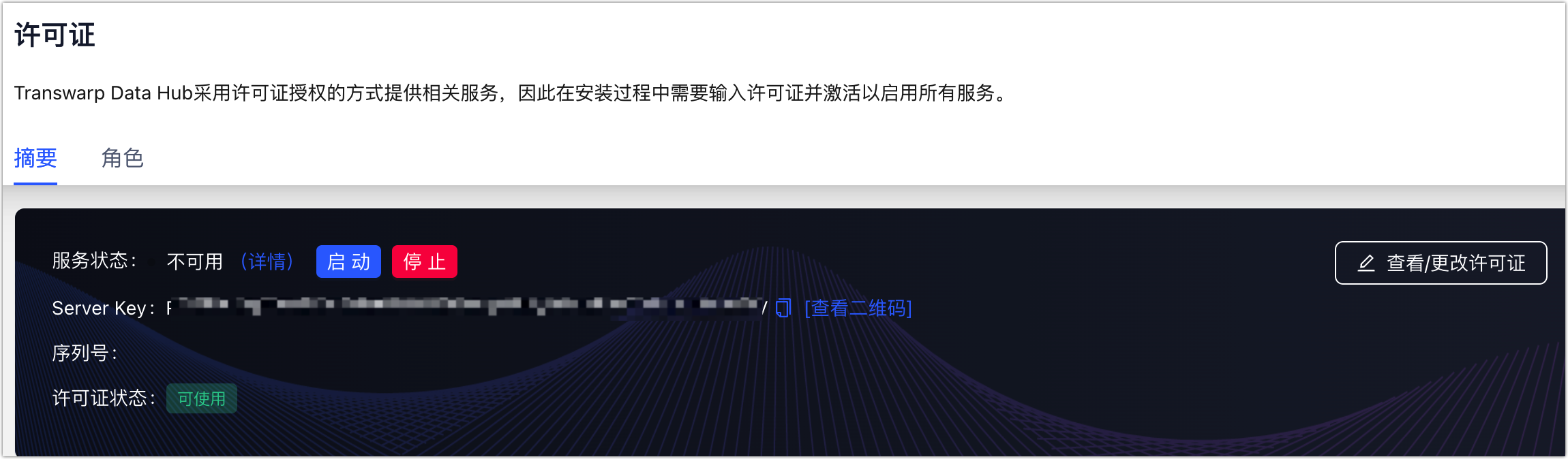 license server status