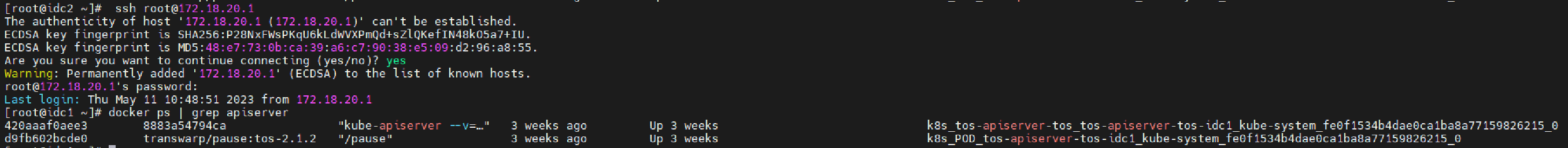 ssh and docker apiserver container