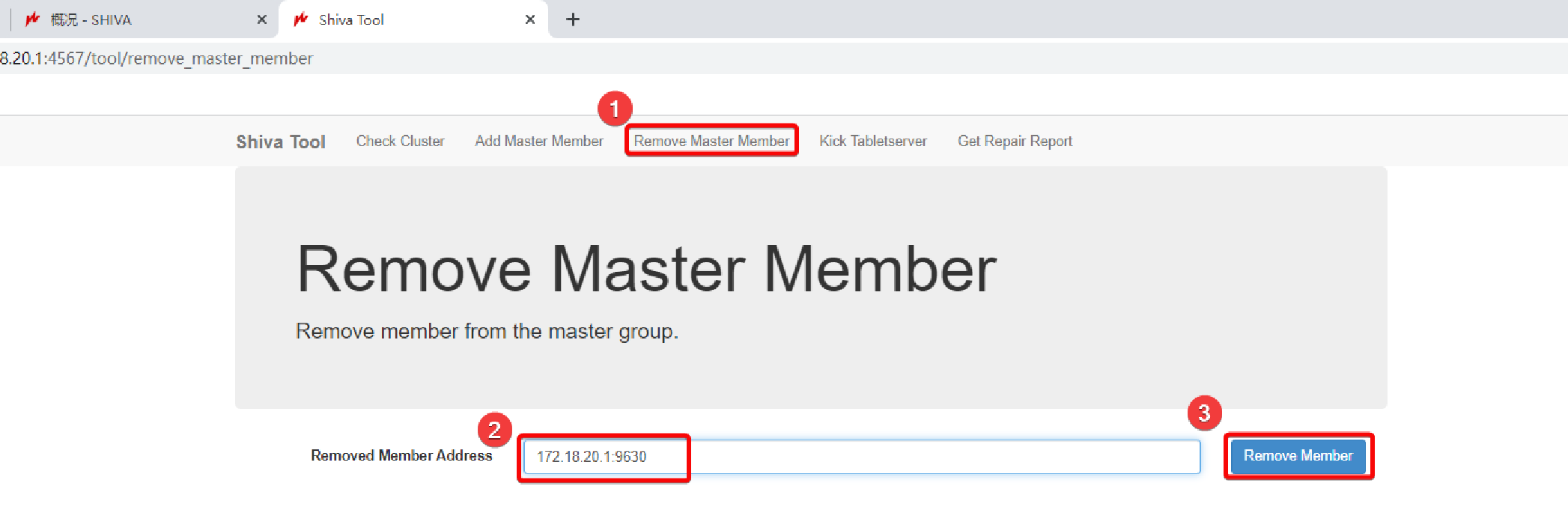 tddms tool remove master member